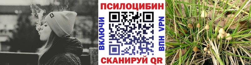 закладки  Свирск  Псилоцибиновые грибы GOLDEN TEACHER 